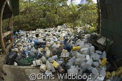 Some of the floats from long-line fishermen that had been... by Chris Wildblood 
